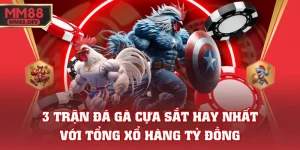 3 Trận Đá Gà Cựa Sắt Hay Nhất Với Tổng Xổ Hàng Tỷ Đồng